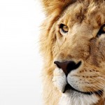 loin